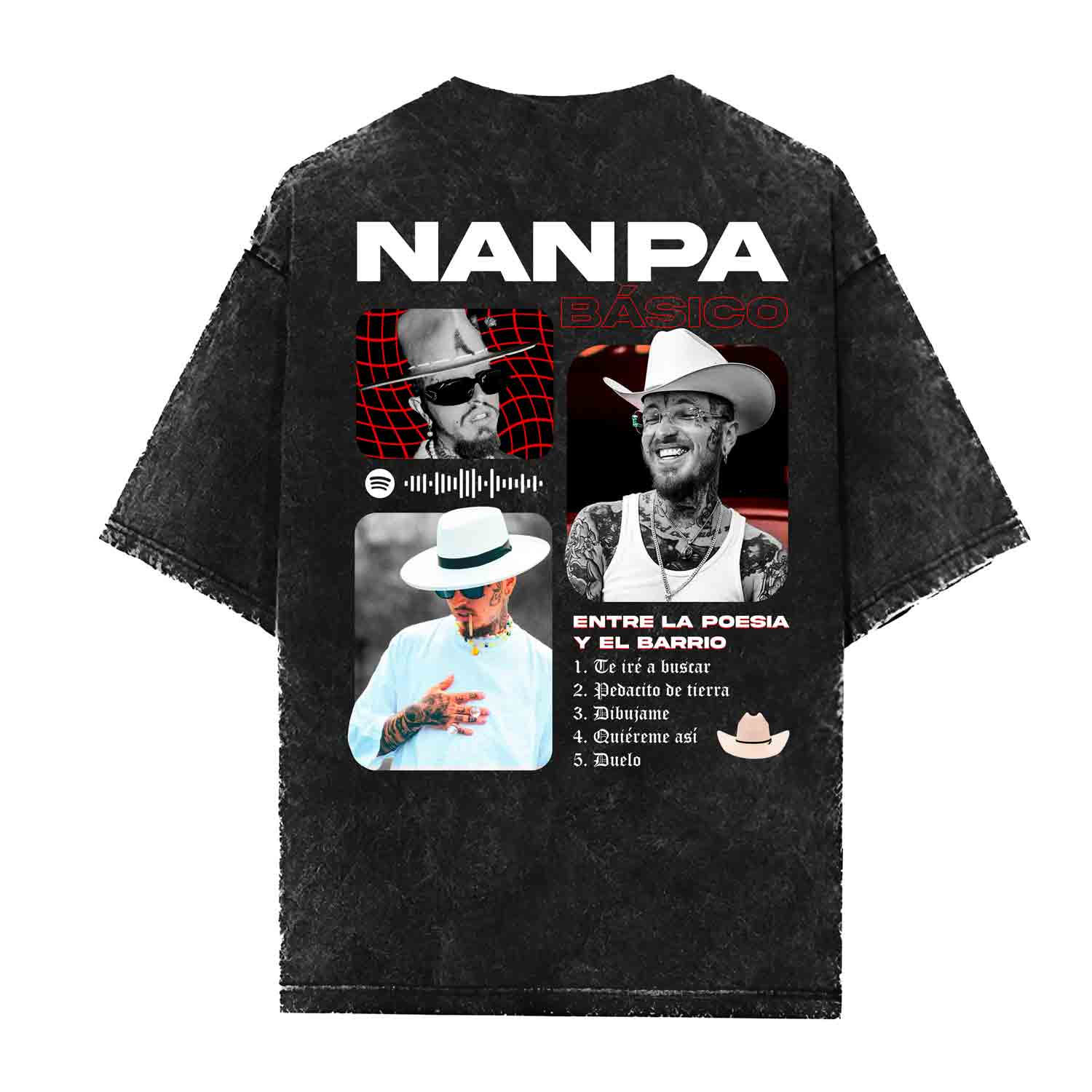 NANPA BASICO